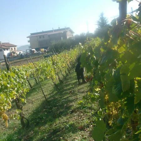 Il Sentiero Del Riccio * Sicignano degli Alburni