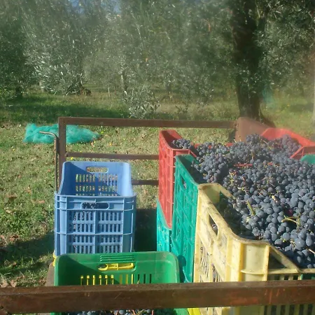 Il Sentiero Del Riccio Dom wakacyjny Sicignano degli Alburni