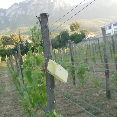 Il Sentiero Del Riccio *